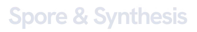 Styles & Standards